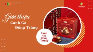 Giới thiệu Canh Gà Đông Trùng