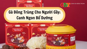 Gà Đông Trùng Cho Người Gầy: Canh Ngon Bổ Dưỡng